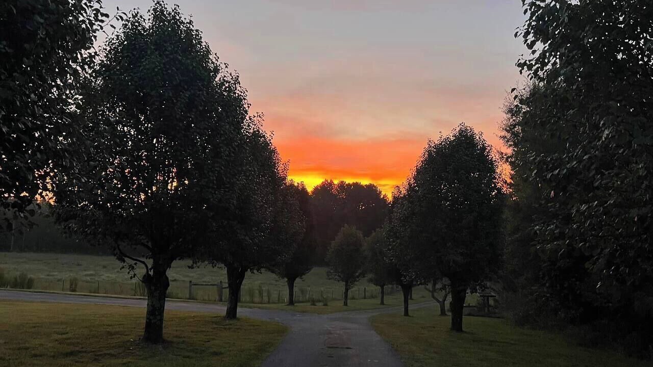 Photo of Others in LaFayette