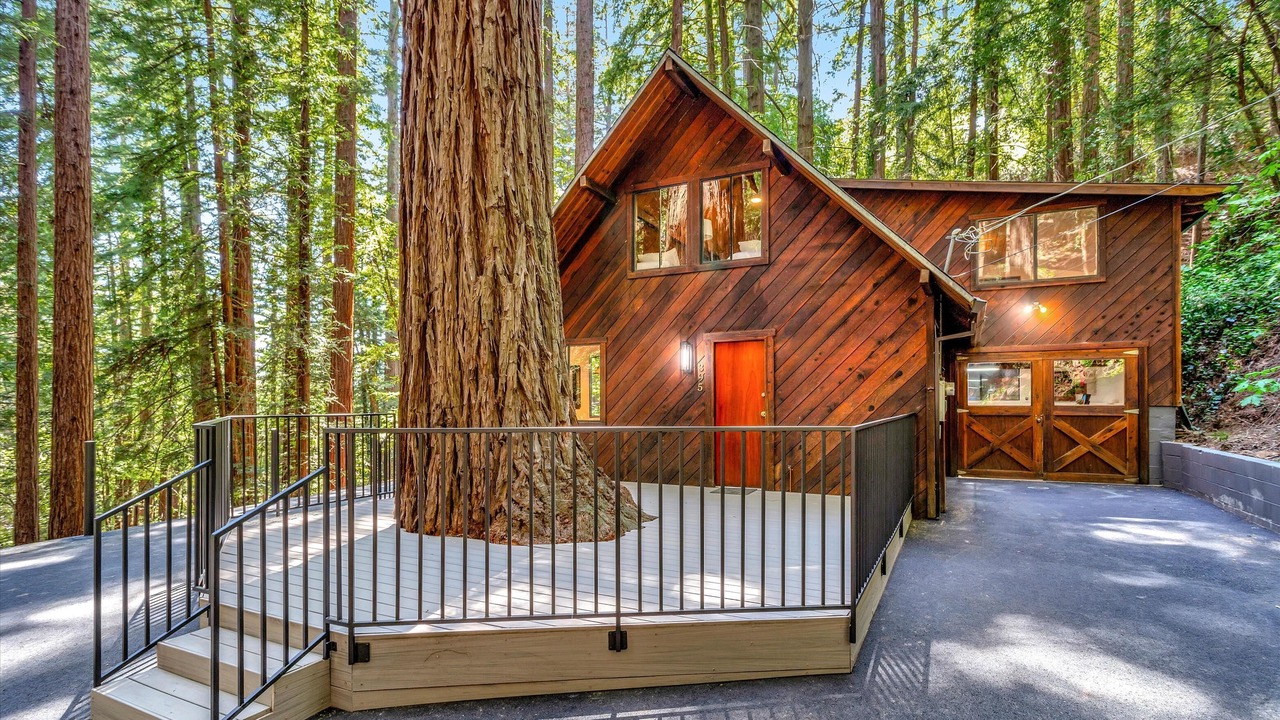 Photo of Outdoor in Los Gatos