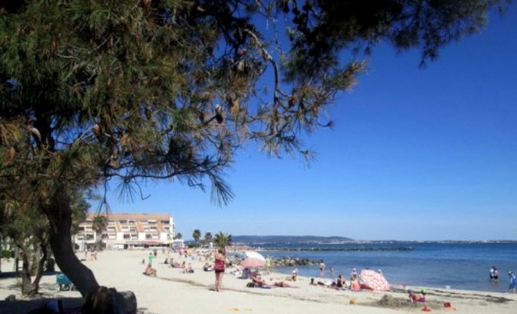 Photo of Others in Meze