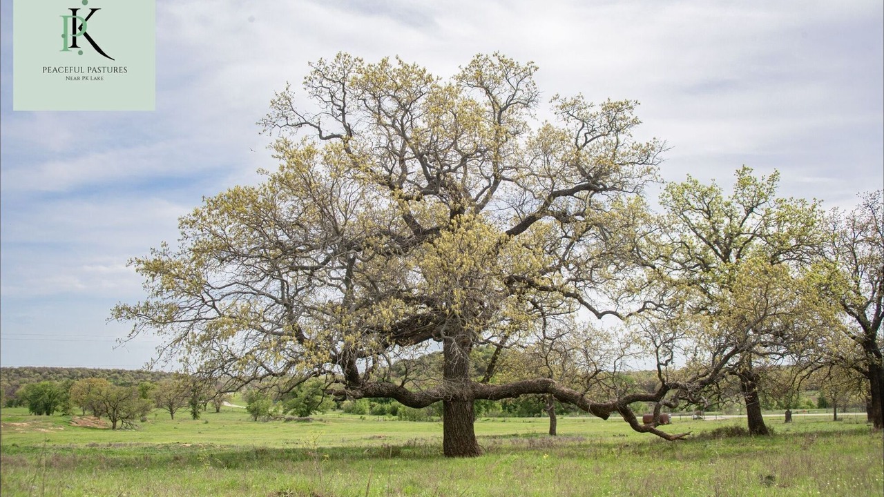 Photo of Others in Graham