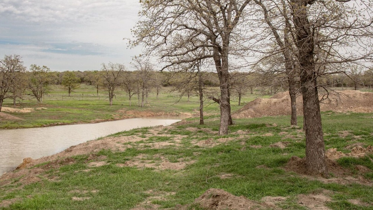 Photo of Others in Graham