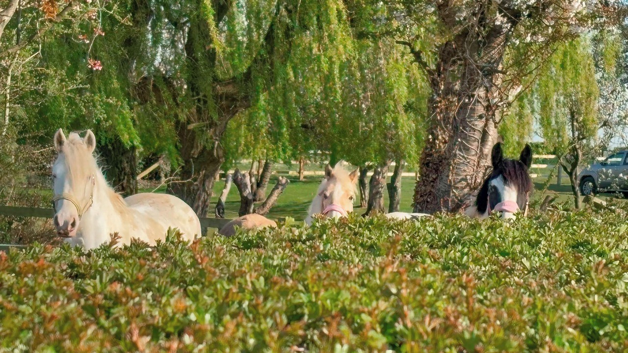 Photo of Others in Winsford