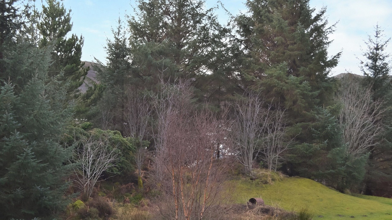 Photo of Others in Inverkirkaig