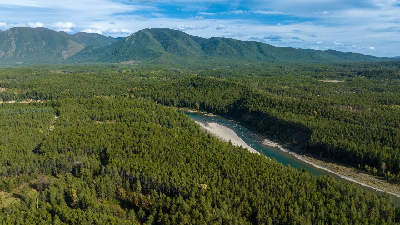 Photo of Others in Martin City