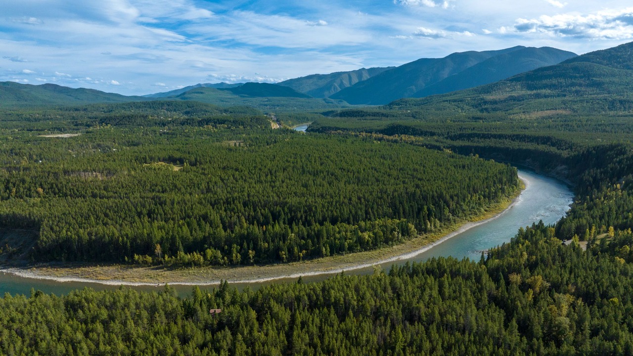 Photo of Others in Martin City