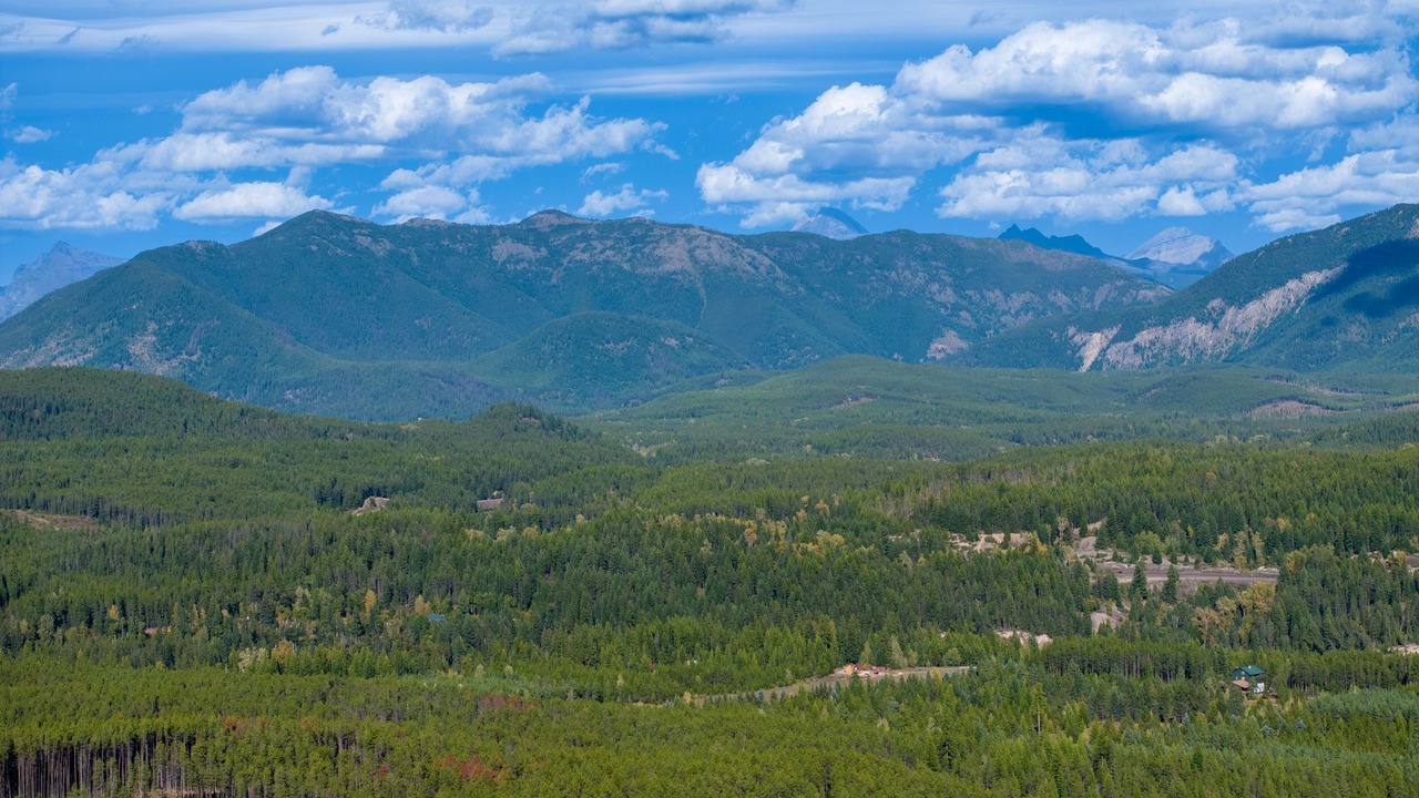 Photo of Outdoor in Martin City