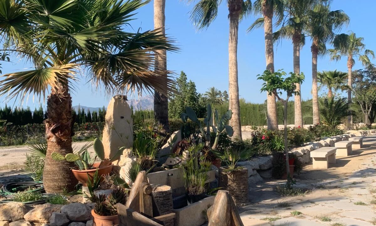 Photo of Outdoor in Mutxamel