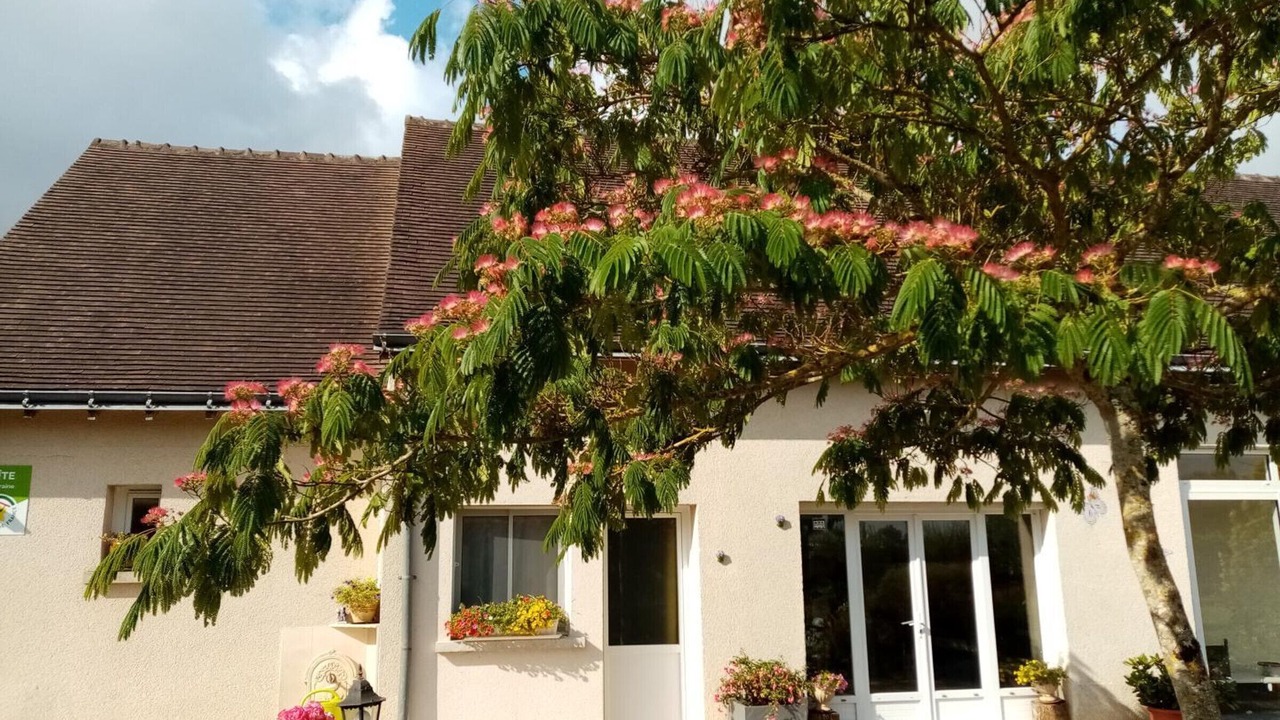 Photo of Outdoor in Poce-sur-Cisse