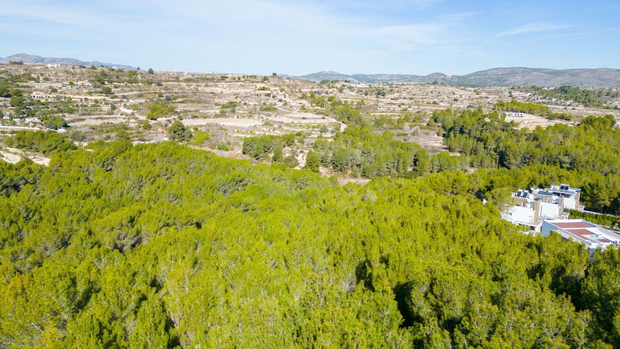 Photo of Others in Benimeit