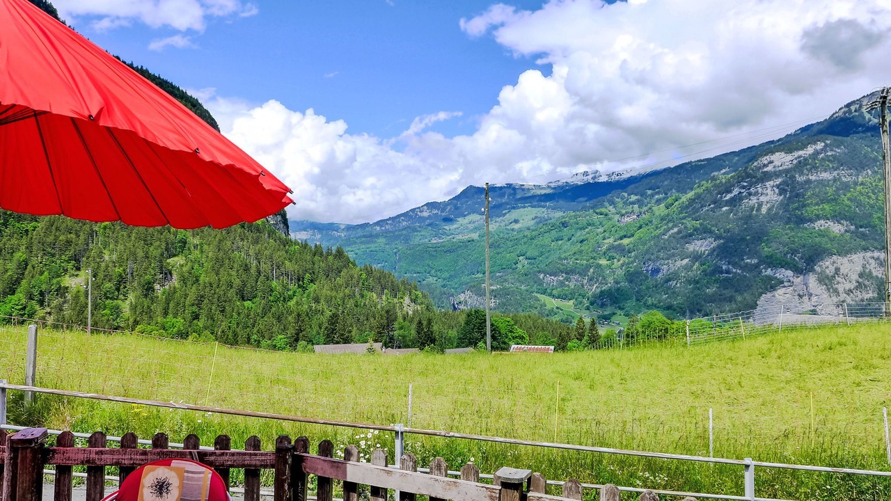 Photo of Others in Innertkirchen