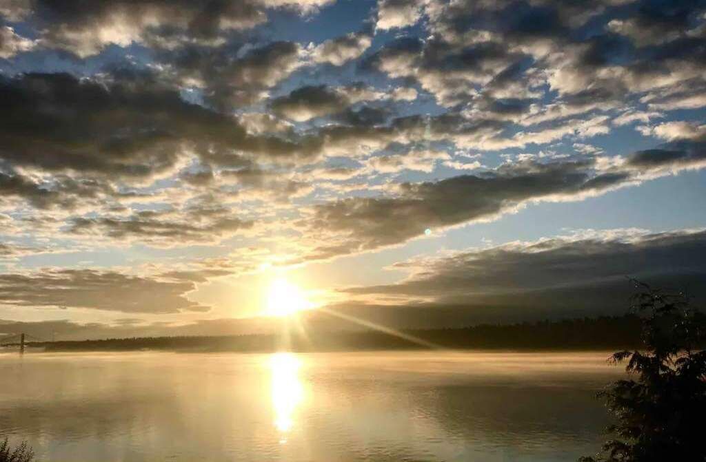 Photo of Others in Fox Island