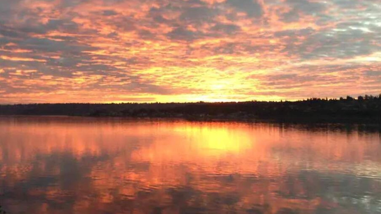 Photo of Others in Fox Island