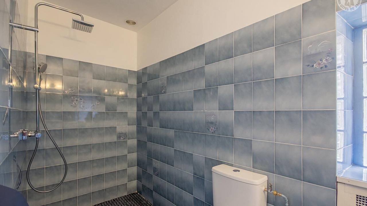 Photo of Bathroom in Chindrieux