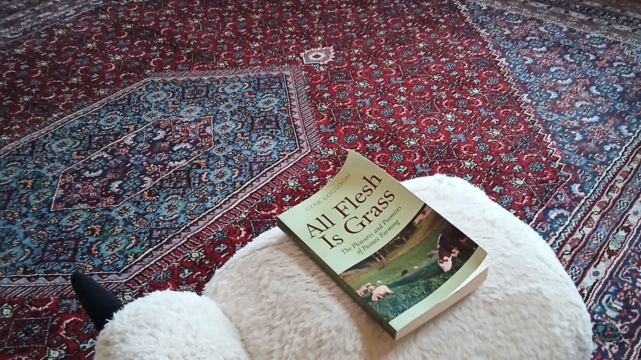 Photo of Others in Gilboa