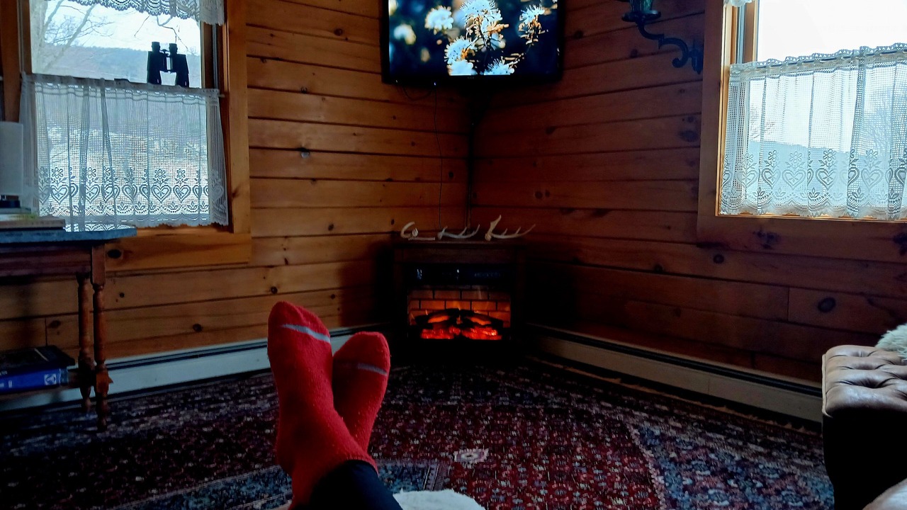 Photo of Livingroom in Gilboa