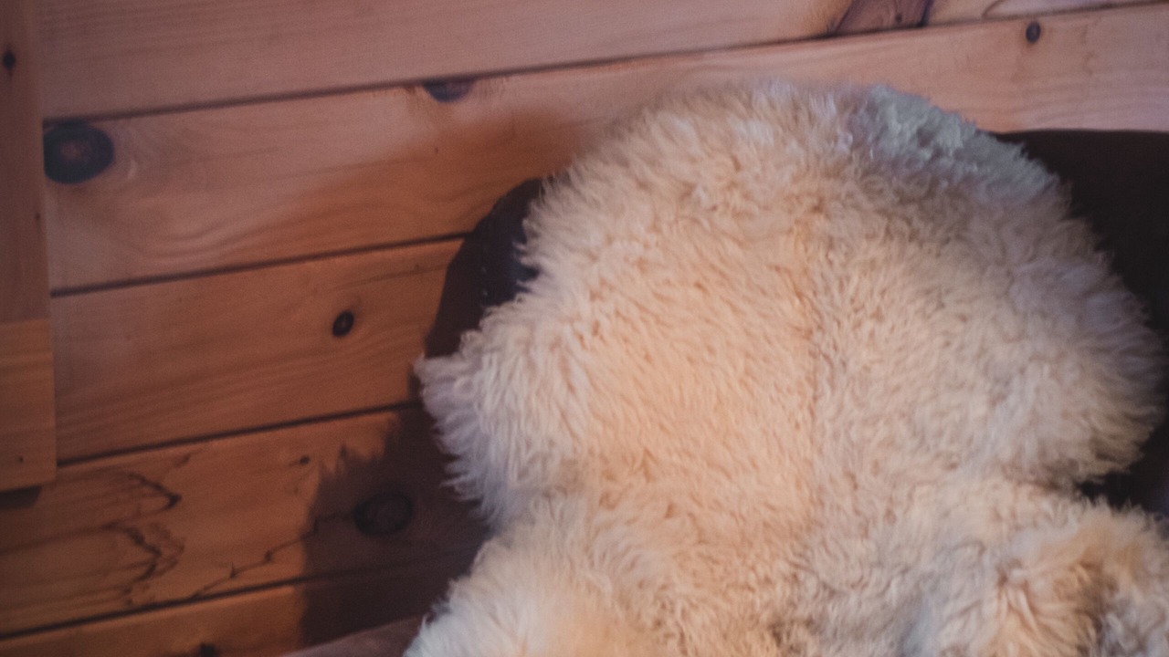 Photo of Others in Gilboa