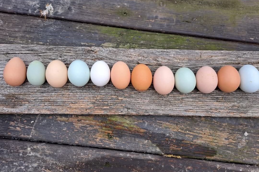 Photo of Others in Gilboa