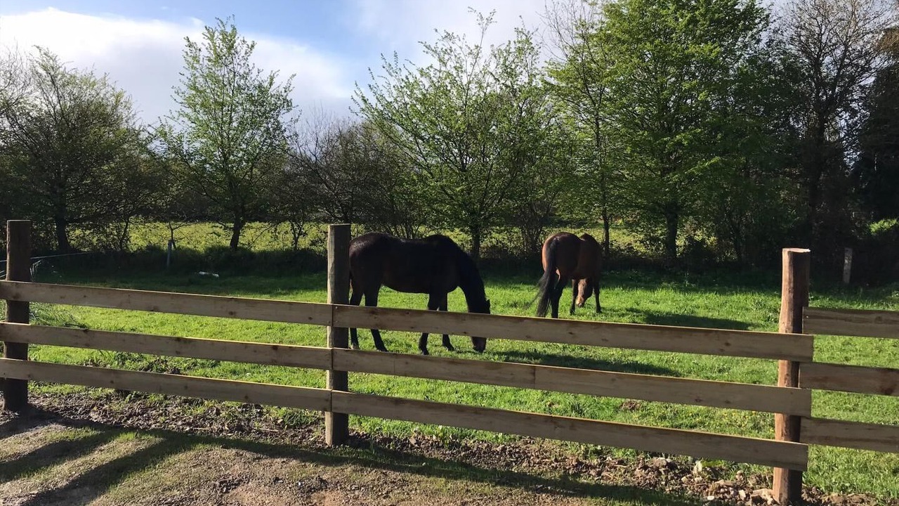 Photo of Others in Plourhan