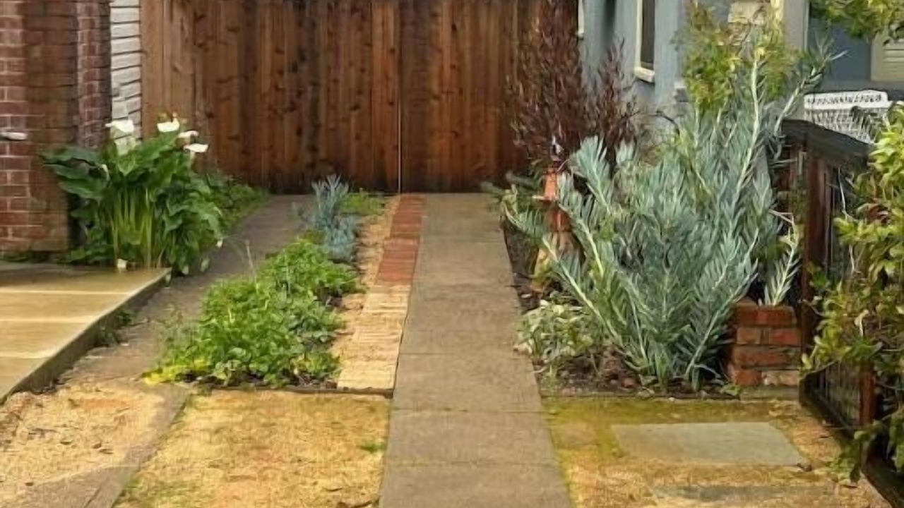 Photo of Outdoor in El Cerrito