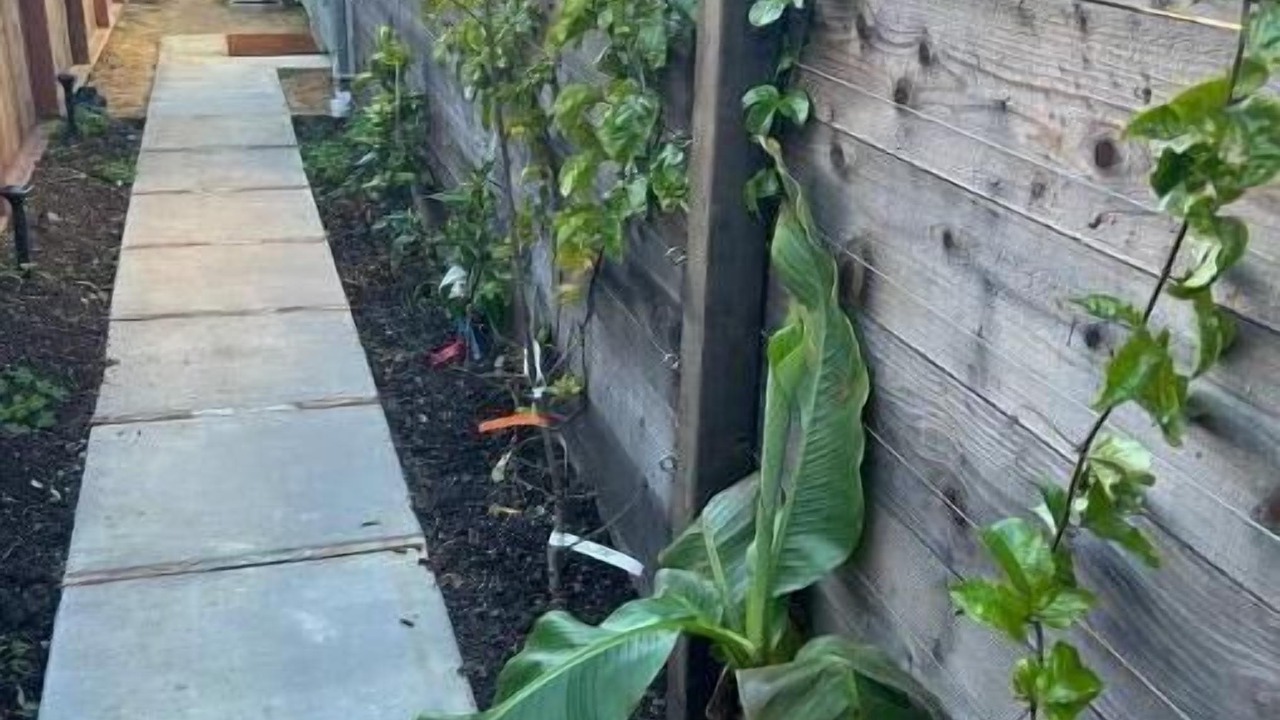 Photo of Outdoor in El Cerrito