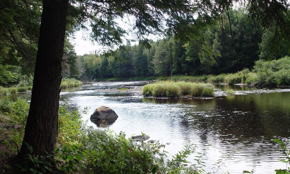 Photo of Others in Hopkinton