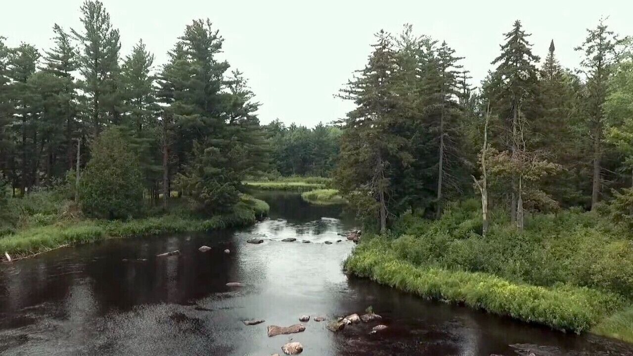 Photo of Others in Hopkinton