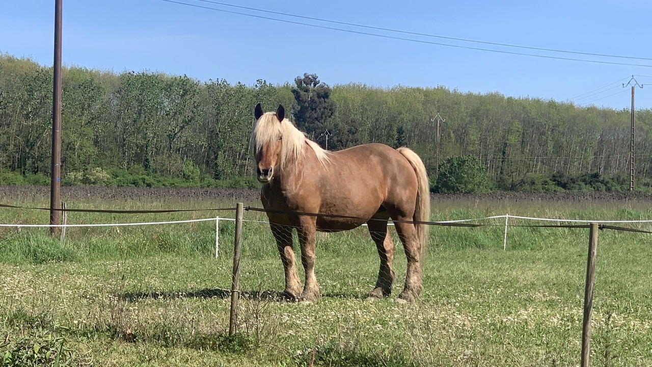 Photo of Others in La Ville-Dieu-du-Temple