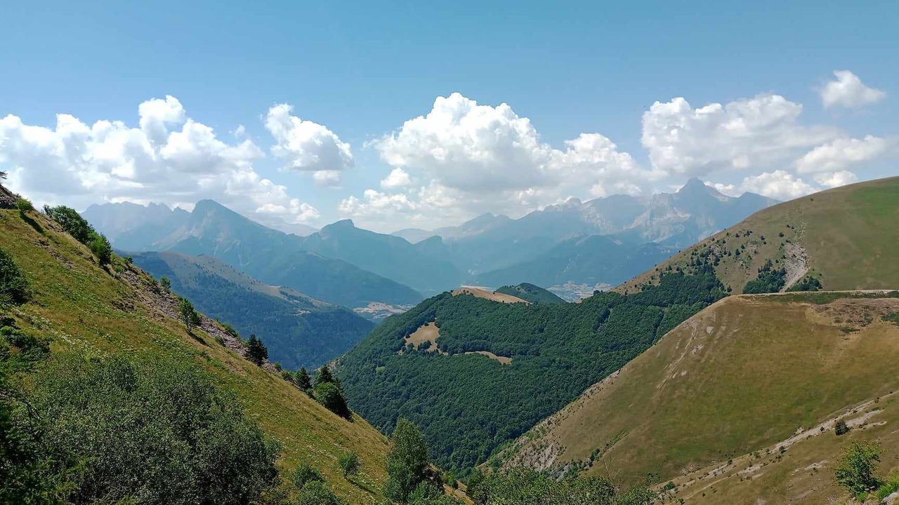 Photo of Others in Corps