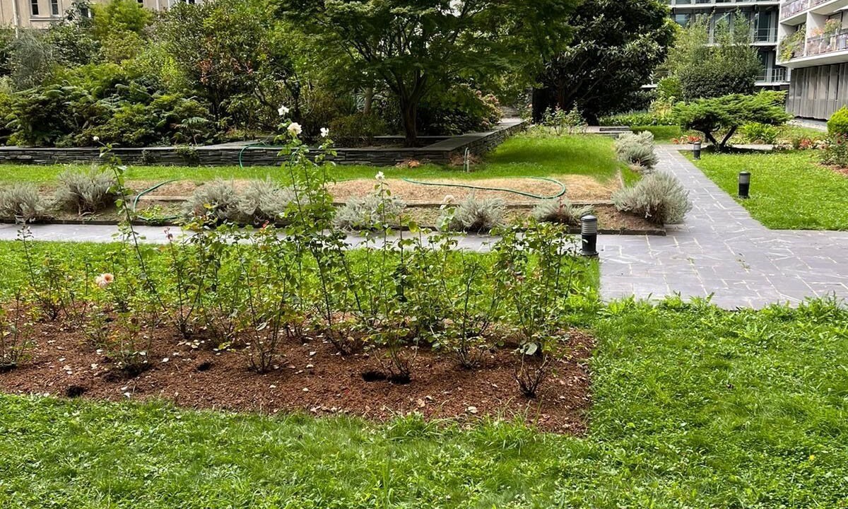 Photo of Outdoor in Parc-de-Montsouris