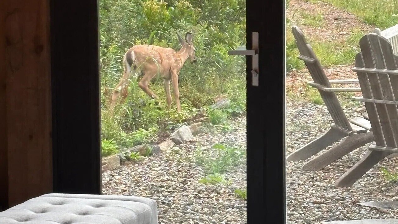 Photo of Others in Harpswell