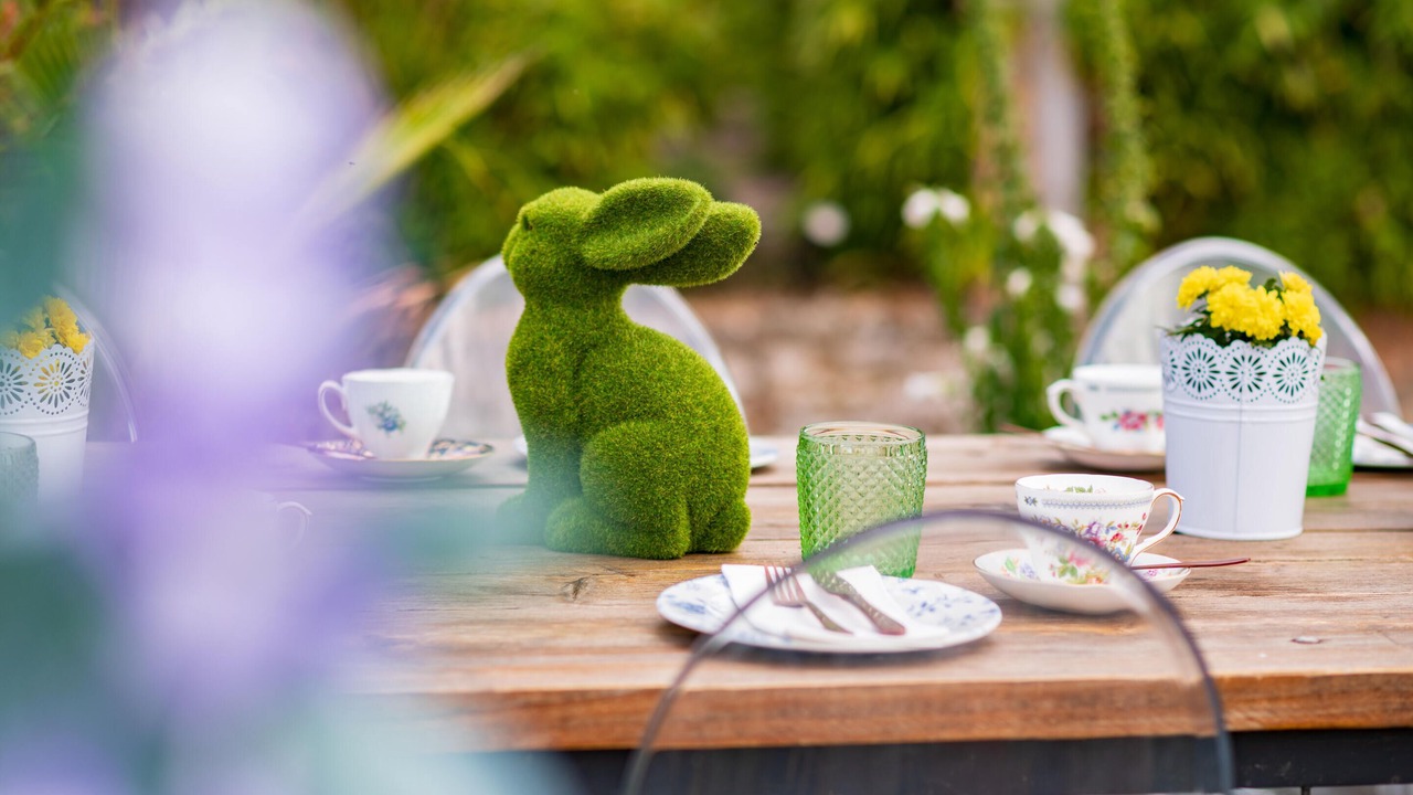 Photo of Outdoor in Longford