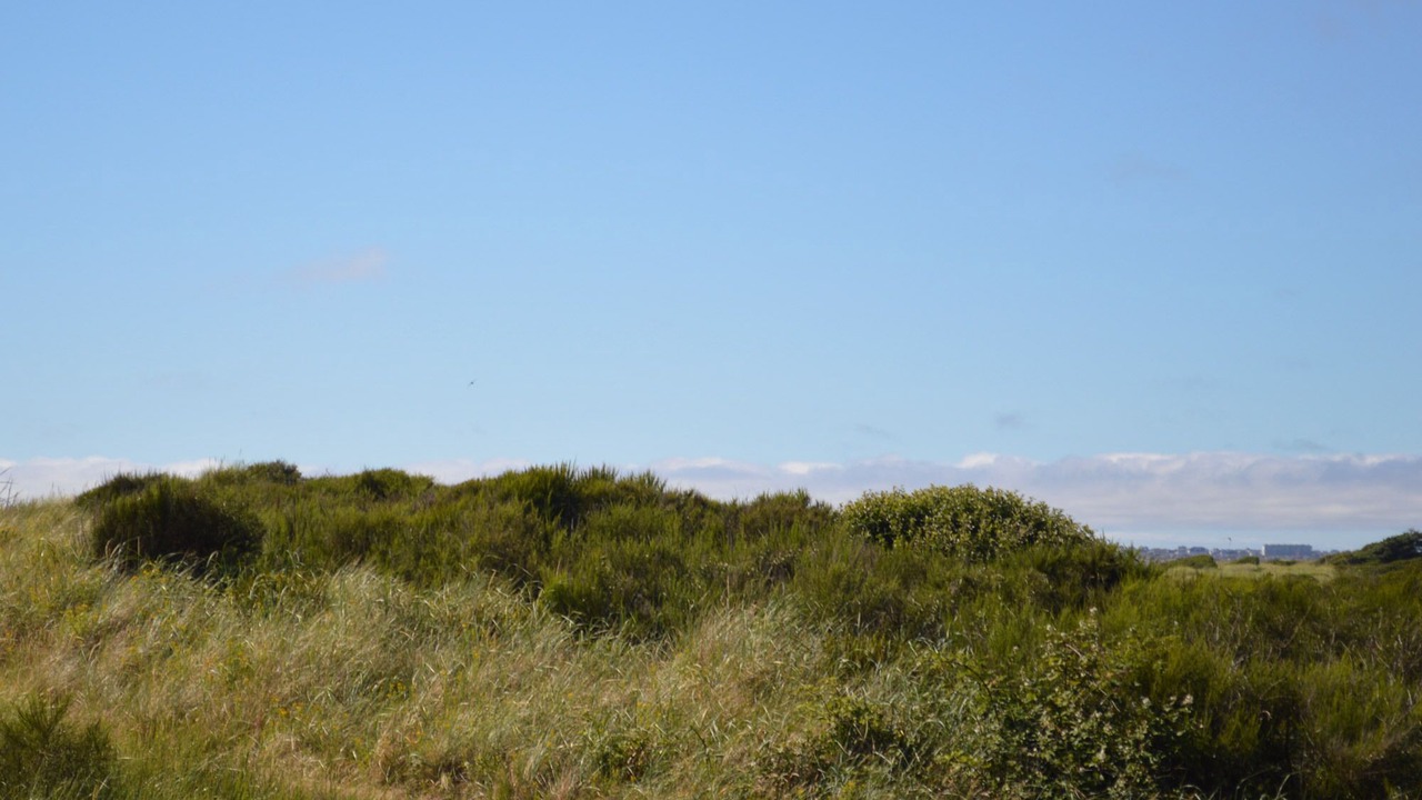 Photo of Others in Westport