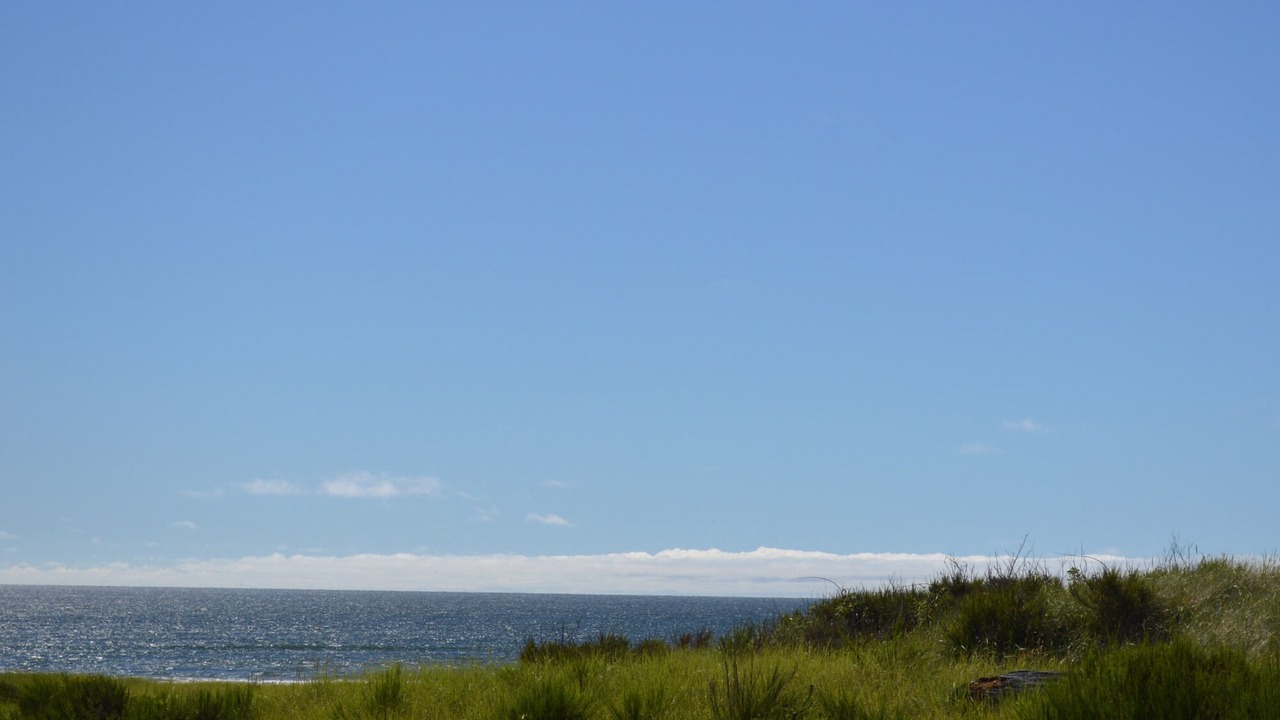 Photo of Others in Westport