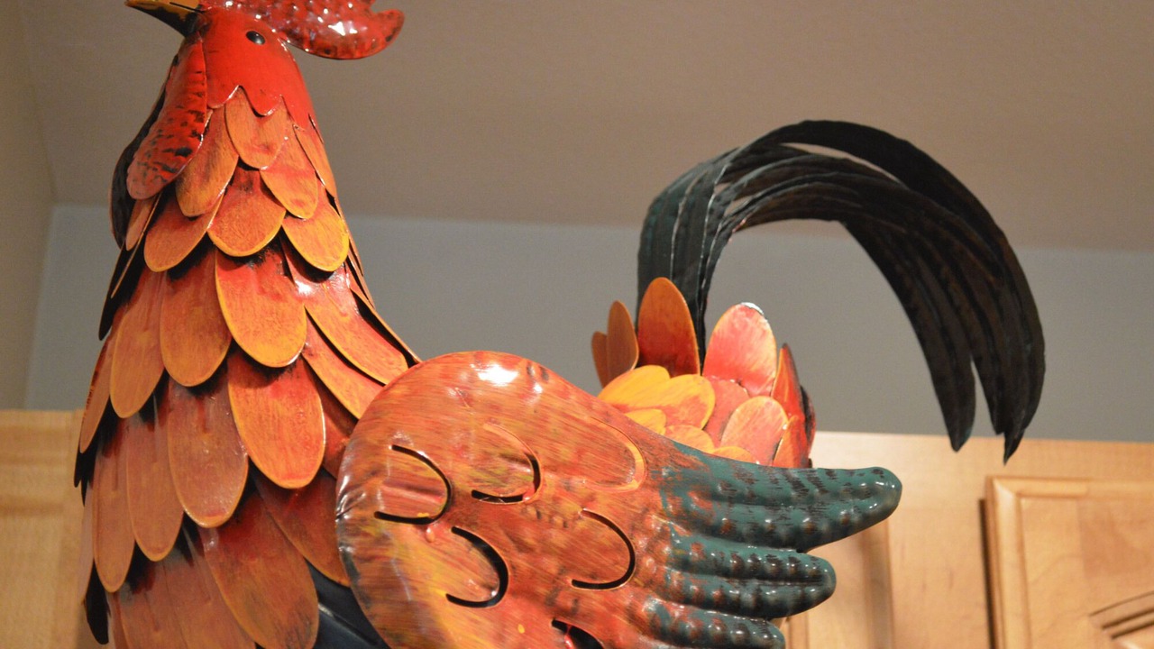 Photo of Others in Westport