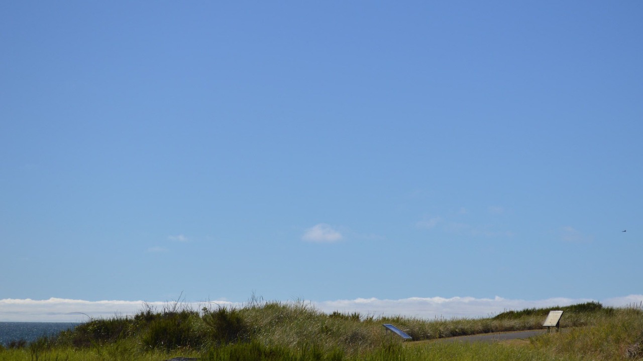 Photo of Others in Westport