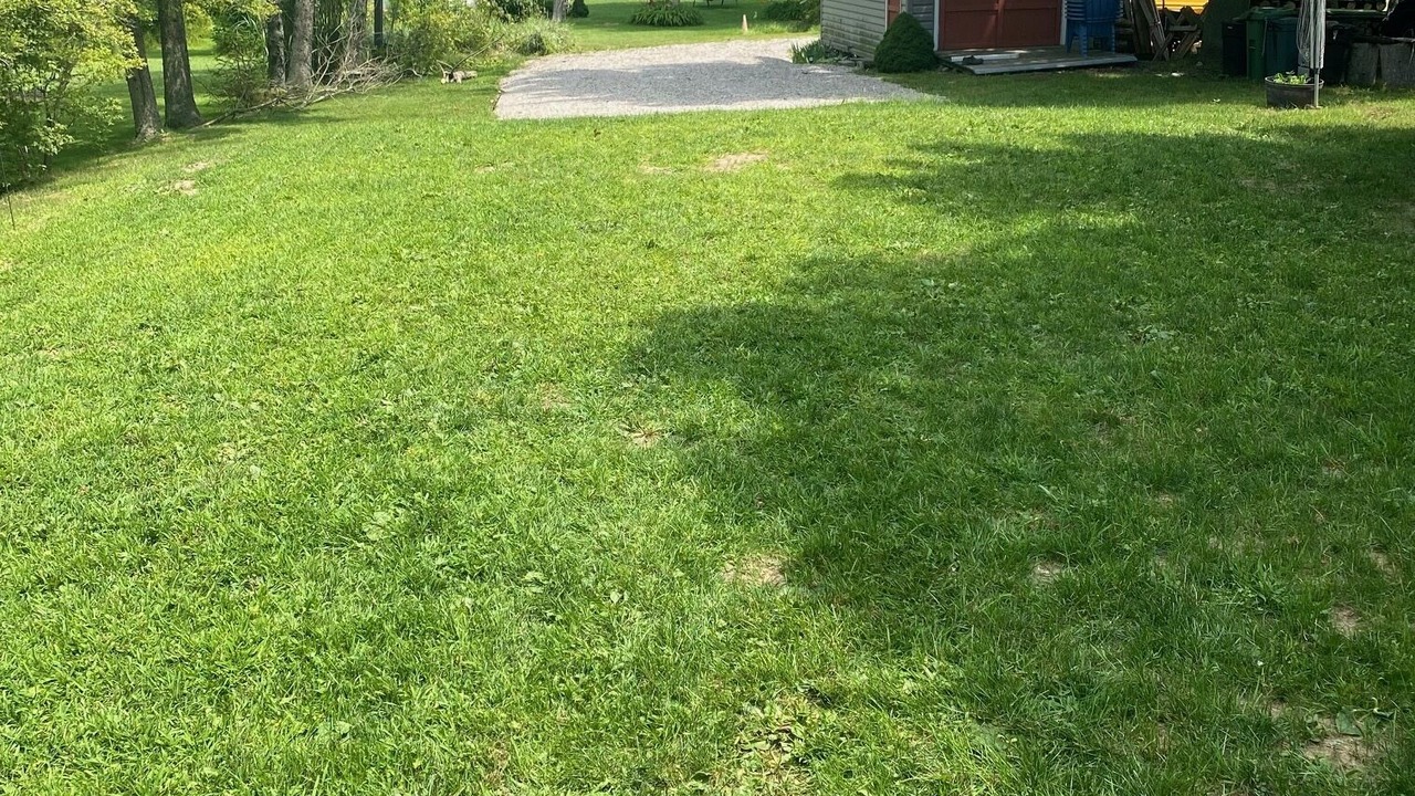 Photo of Others in Dunnville
