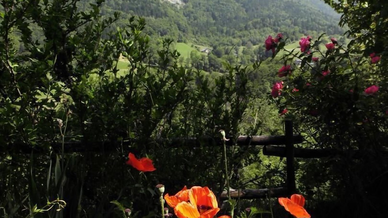 Photo of Outdoor in Aillon-le-Vieux