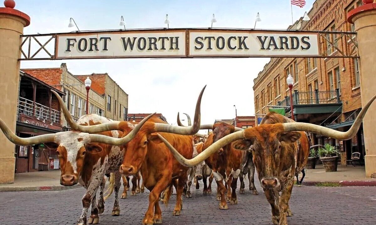 Photo of Others in Oak Cliff