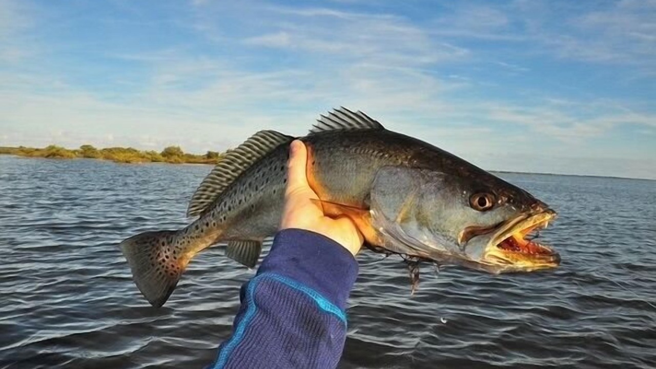 Photo of Others in Salem