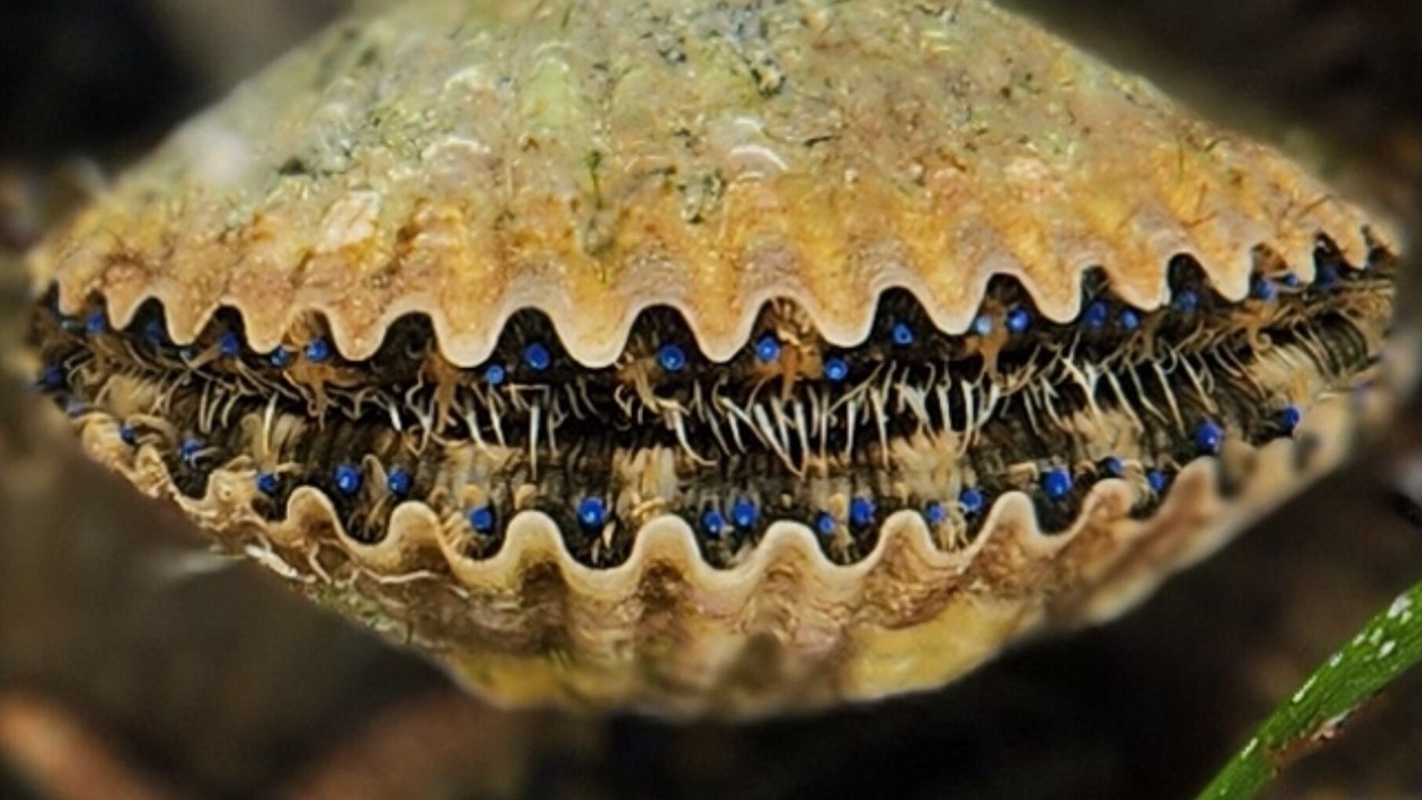 Photo of Others in Salem