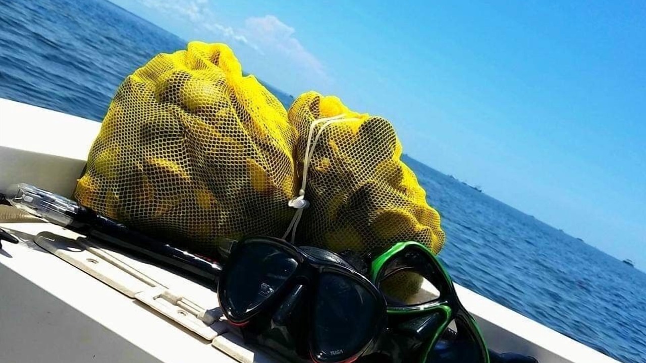 Photo of Others in Salem