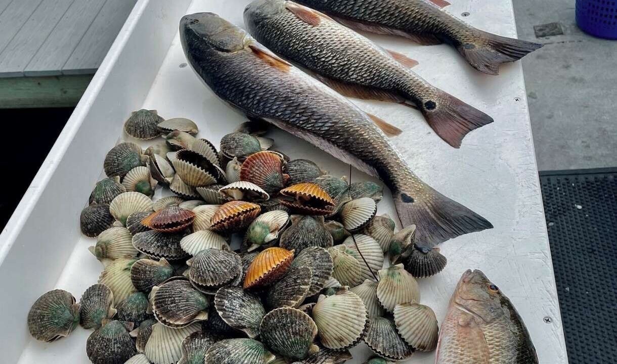 Photo of Others in Salem