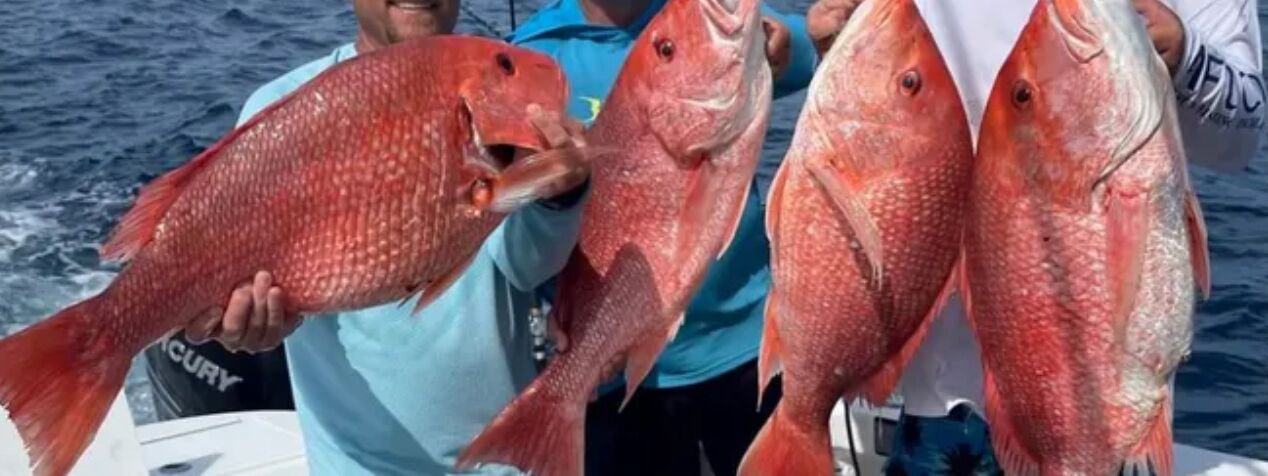 Photo of Others in Salem