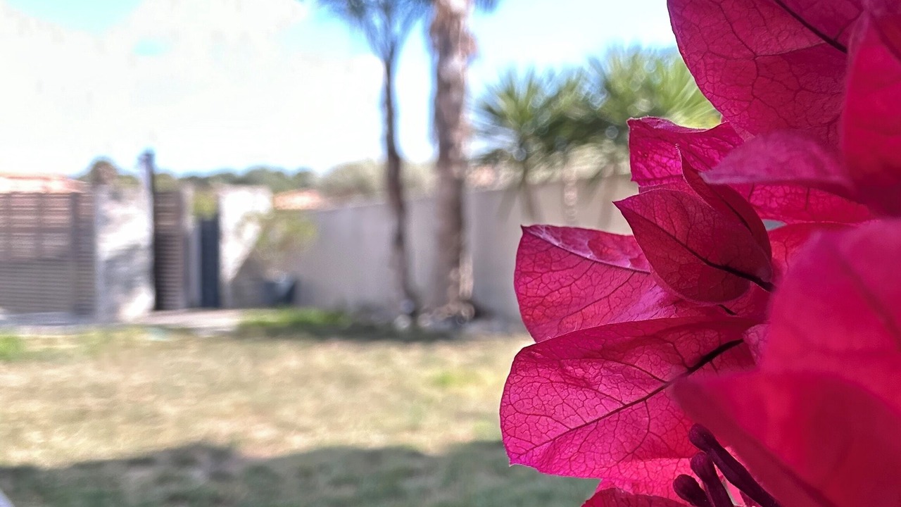 Photo of Outdoor in Saint-Nazaire