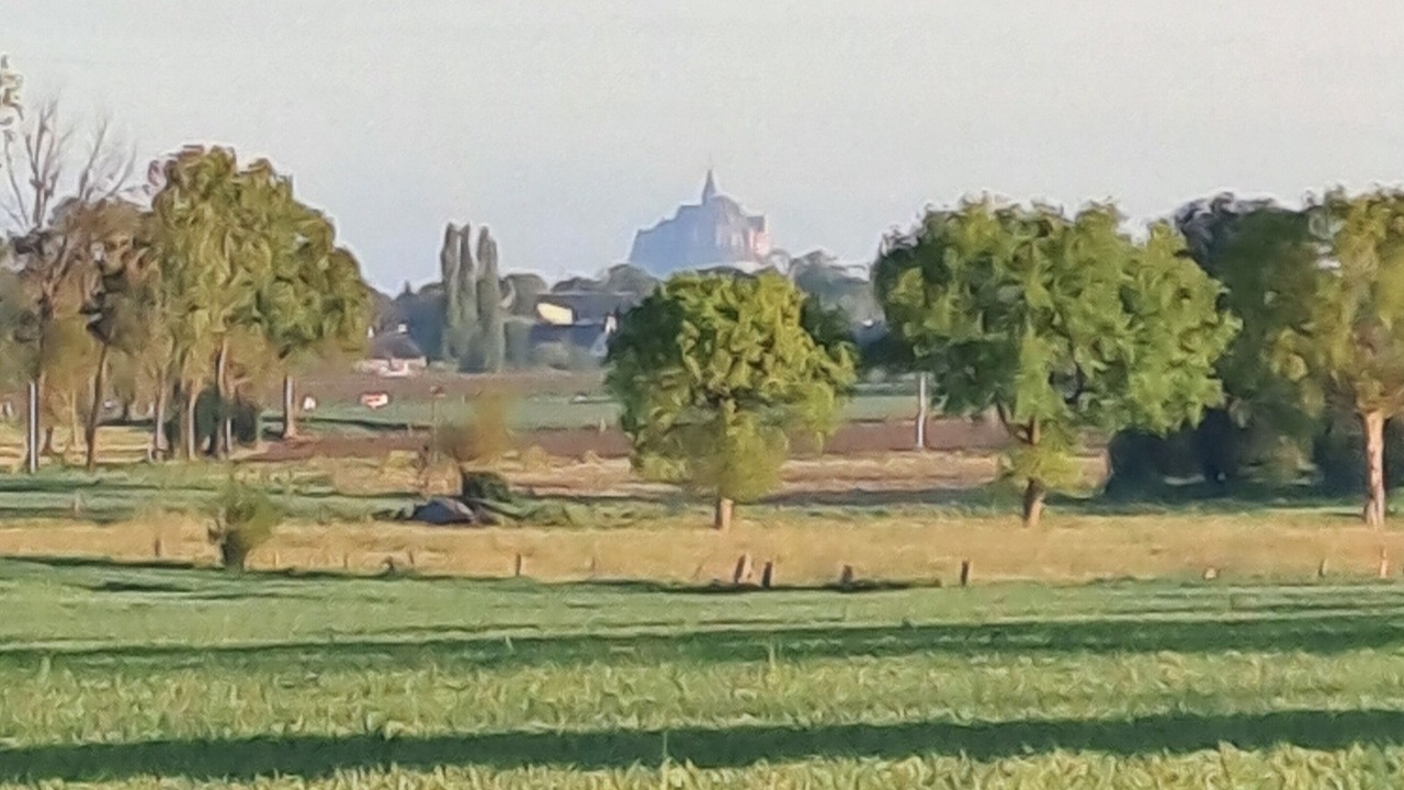 Photo of Outdoor in Macey