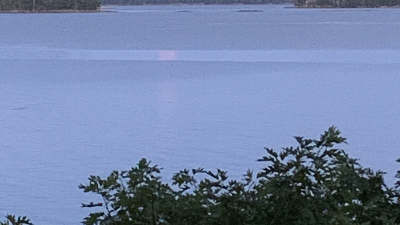 Photo of Others in Freeport