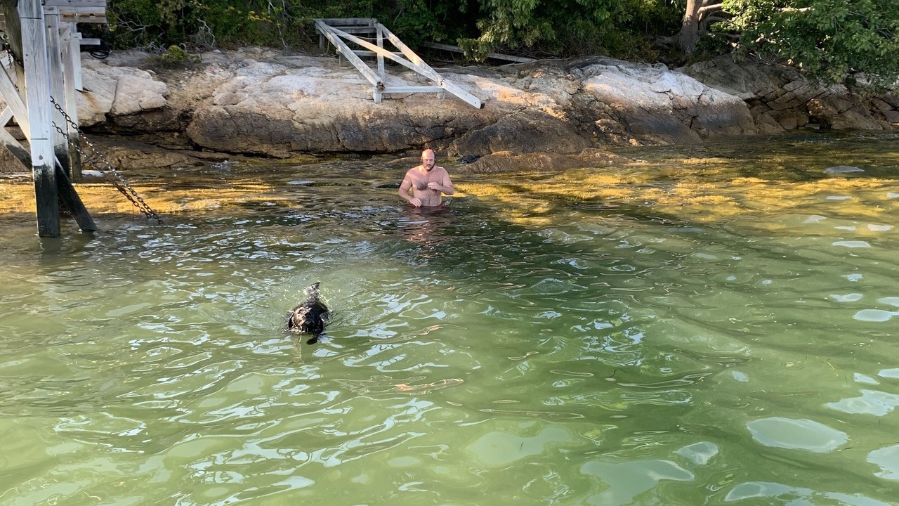 Photo of Others in Freeport