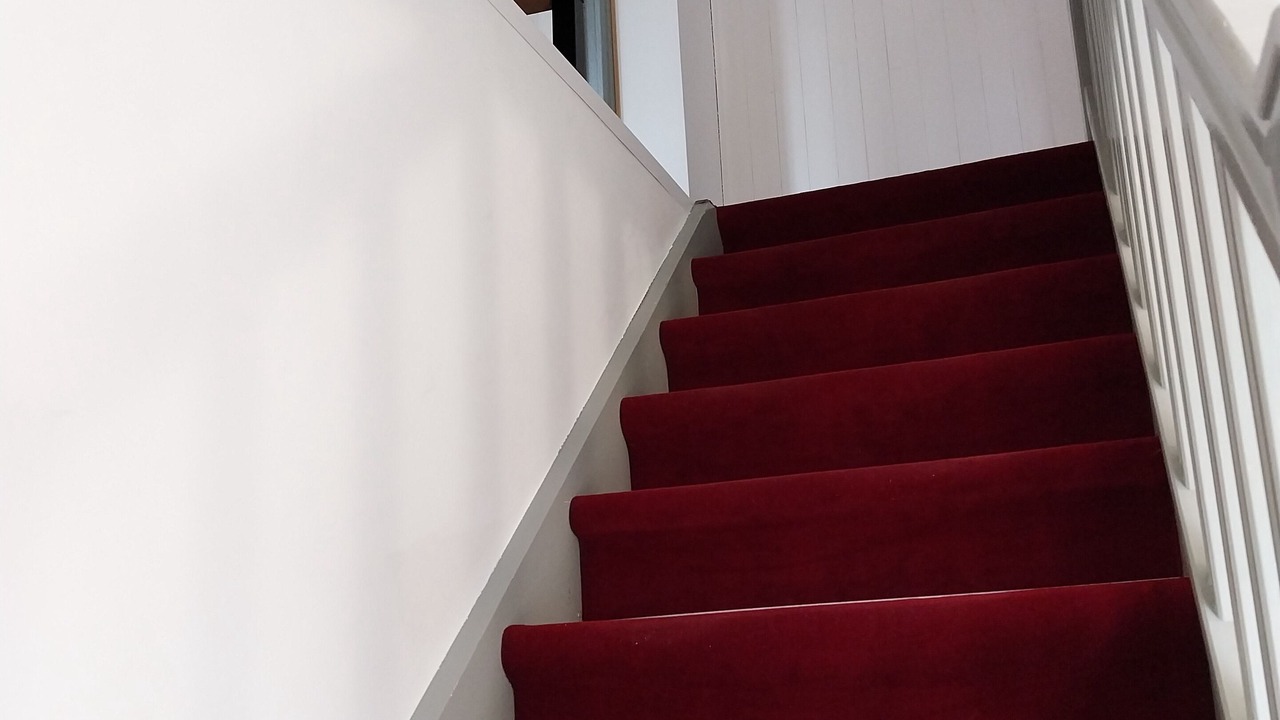 Photo of Others in Saint-Germain-les-Corbeil