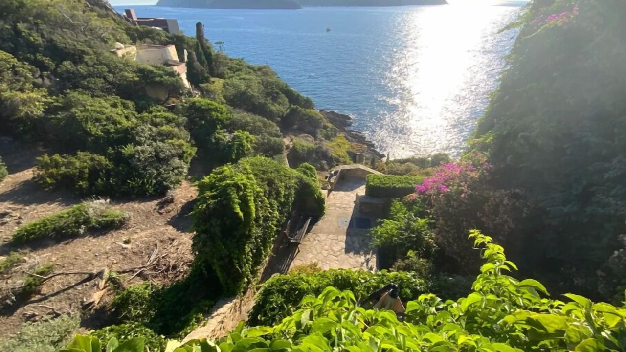 Photo of Outdoor in Ile du Levant