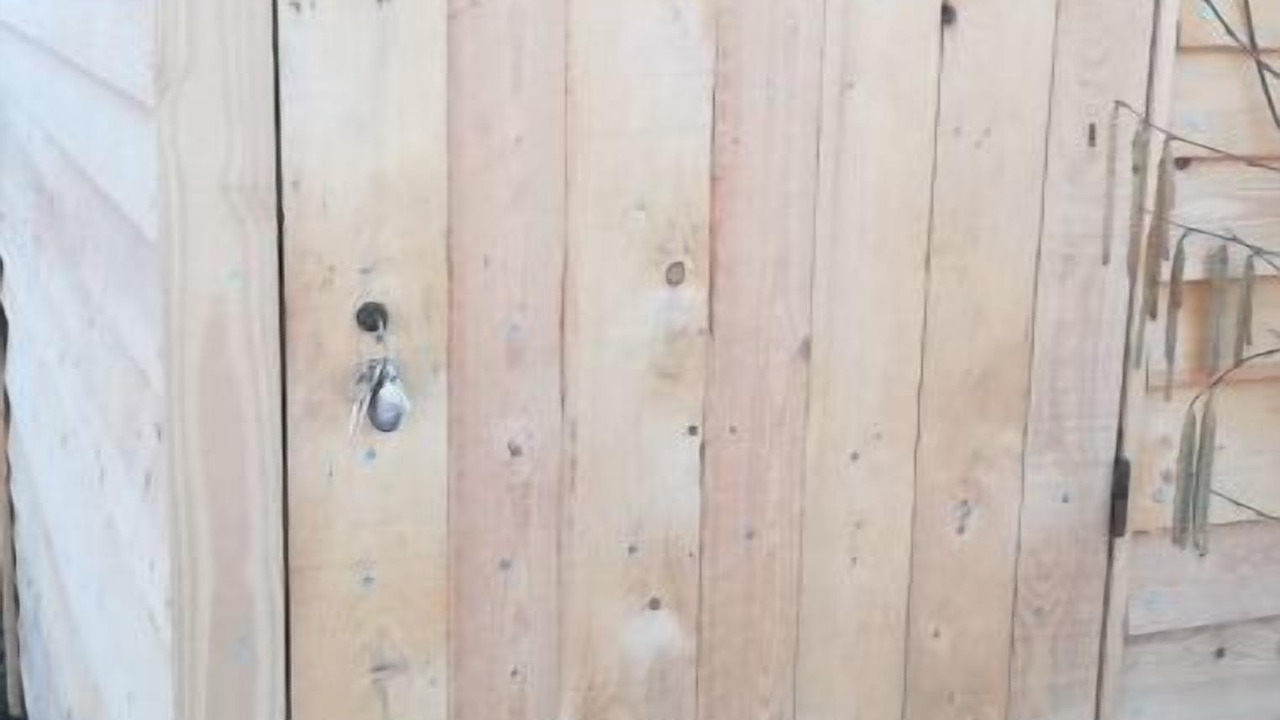 Photo of Others in Saleon